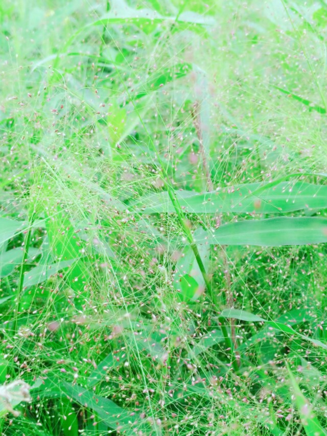 装修问答网-怎么找装修队? 装修问答网-怎么找装修队?