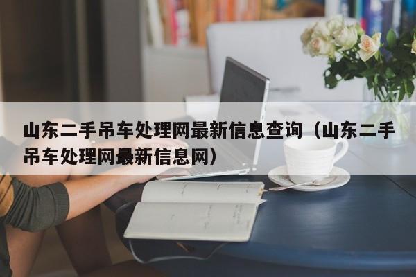 山东二手吊车处理网最新信息查询（山东二手吊车处理网最新信息网）