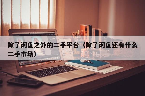 除了闲鱼之外的二手平台（除了闲鱼还有什么二手市场）