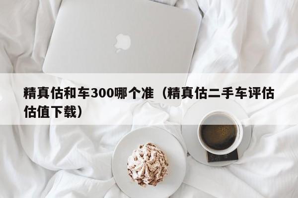 精真估和车300哪个准（精真估二手车评估估值下载）