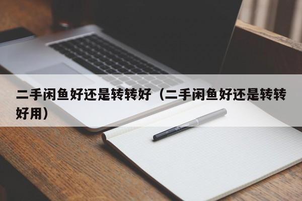 二手闲鱼好还是转转好（二手闲鱼好还是转转好用）