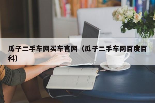 瓜子二手车网买车官网（瓜子二手车网百度百科）