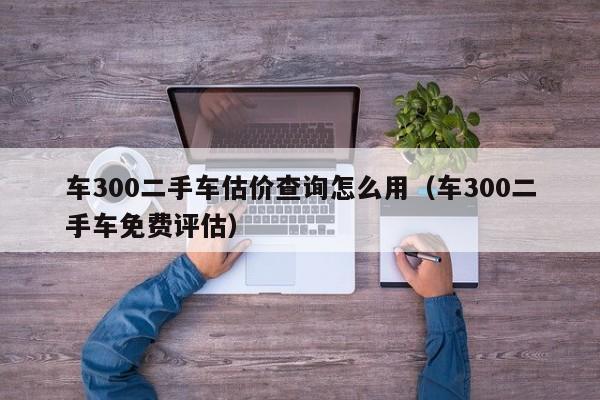 车300二手车估价查询怎么用（车300二手车免费评估）