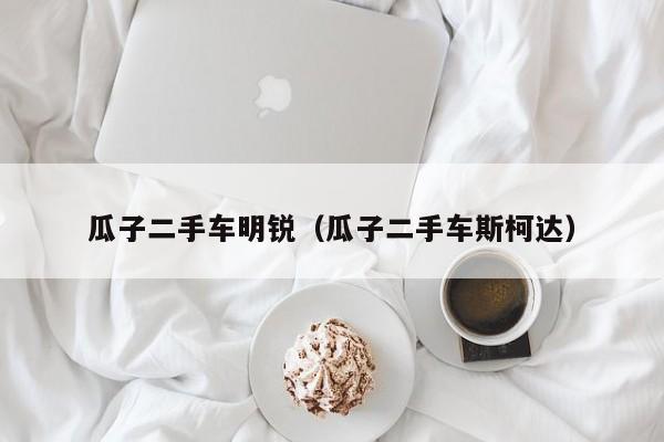 瓜子二手车明锐（瓜子二手车斯柯达）