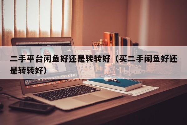 二手平台闲鱼好还是转转好（买二手闲鱼好还是转转好）
