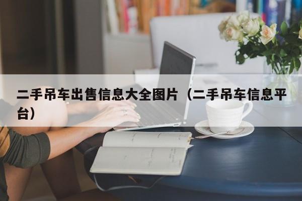 二手吊车出售信息大全图片（二手吊车信息平台）