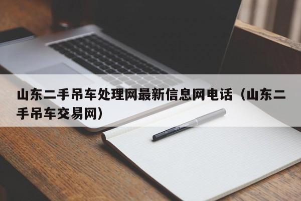 山东二手吊车处理网最新信息网电话（山东二手吊车交易网）