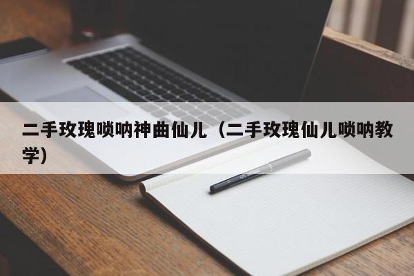 二手玫瑰唢呐神曲仙儿（二手玫瑰仙儿唢呐教学）