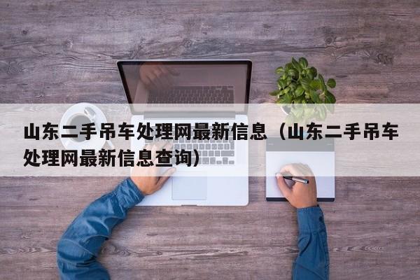 山东二手吊车处理网最新信息（山东二手吊车处理网最新信息查询）