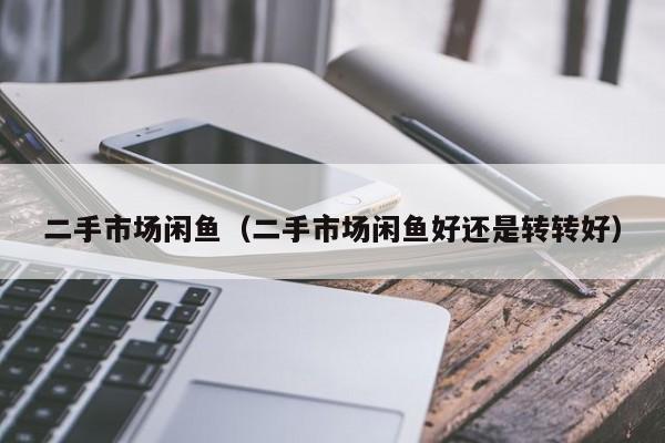 二手市场闲鱼（二手市场闲鱼好还是转转好）