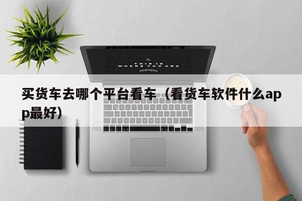 买货车去哪个平台看车（看货车软件什么app最好）