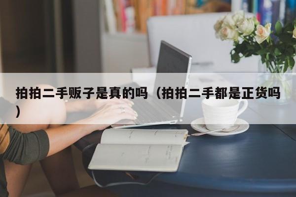 拍拍二手贩子是真的吗（拍拍二手都是正货吗）
