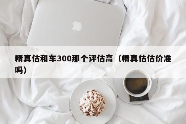 精真估和车300那个评估高（精真估估价准吗）