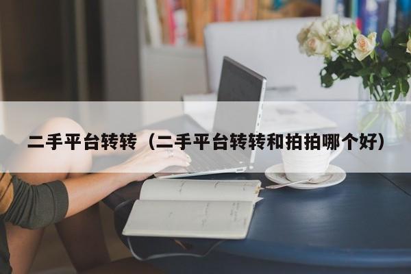 二手平台转转（二手平台转转和拍拍哪个好）