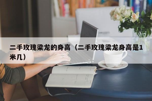 二手玫瑰梁龙的身高（二手玫瑰梁龙身高是1米几）