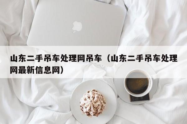山东二手吊车处理网吊车（山东二手吊车处理网最新信息网）