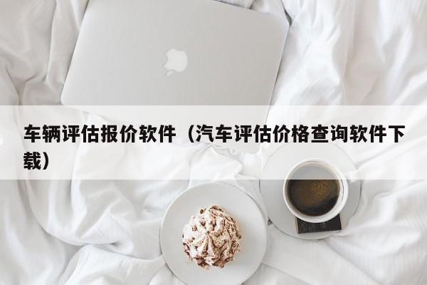 车辆评估报价软件（汽车评估价格查询软件下载）