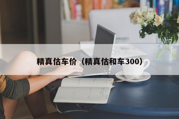 精真估车价（精真估和车300）
