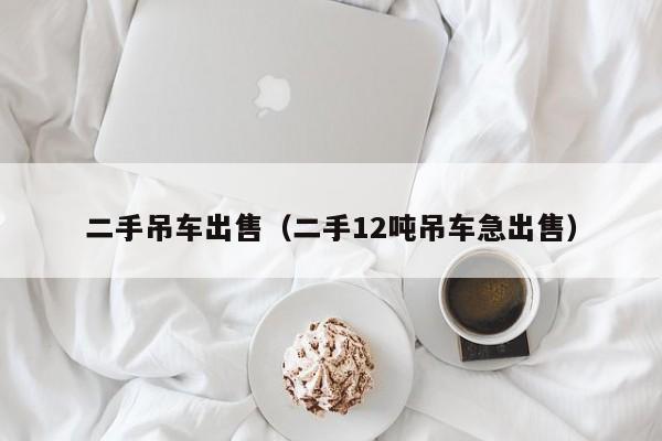 二手吊车出售（二手12吨吊车急出售）