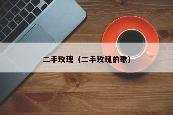 二手玫瑰（二手玫瑰的歌）