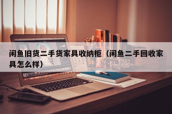 闲鱼旧货二手货家具收纳柜（闲鱼二手回收家具怎么样）