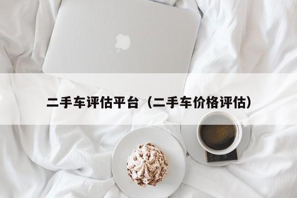 二手车评估平台（二手车价格评估）
