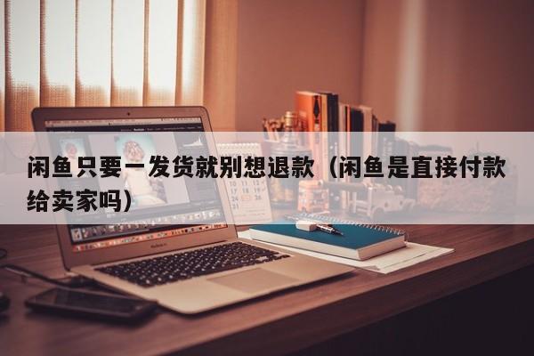 闲鱼只要一发货就别想退款（闲鱼是直接付款给卖家吗）
