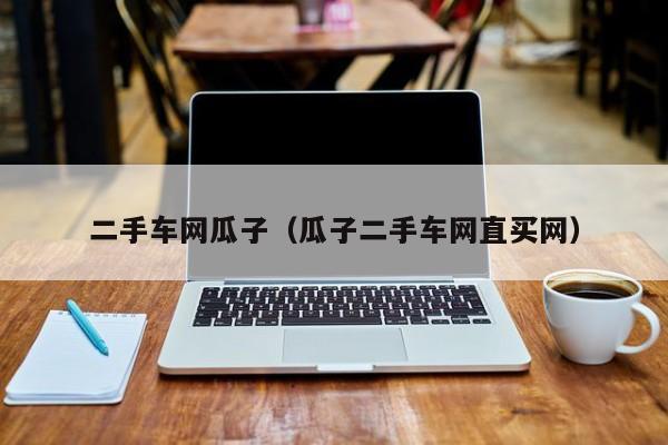 二手车网瓜子（瓜子二手车网直买网）