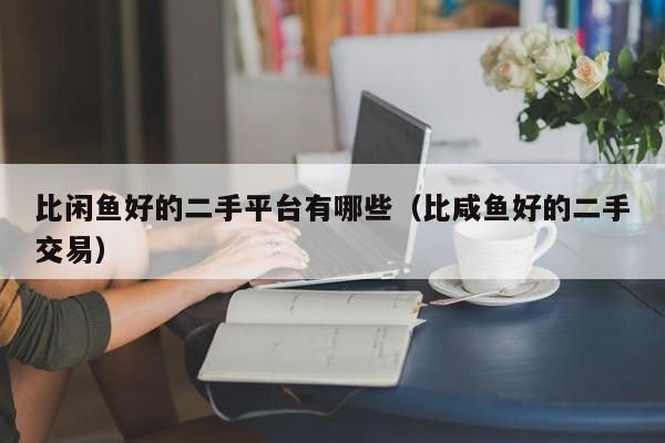 比闲鱼好的二手平台有哪些（比咸鱼好的二手交易）