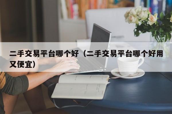 二手交易平台哪个好（二手交易平台哪个好用又便宜）