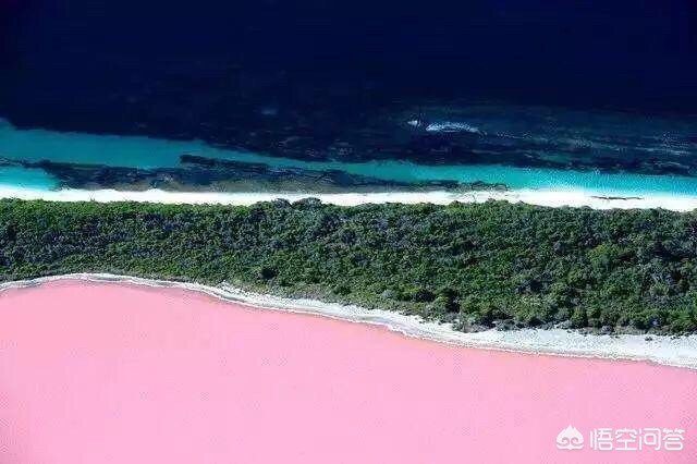 家装设计师哪里学-自学室内装修设计要多久? 家装设计师哪里学-自学室内装修设计要多久?