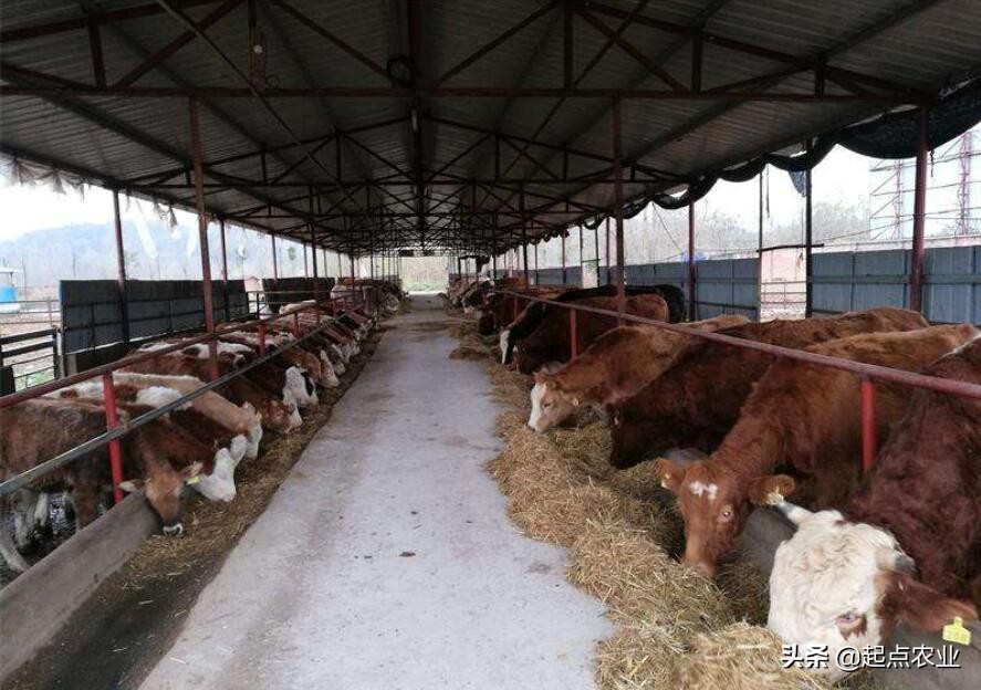 装修吊顶用什么材料最便宜-农村瓦房吊顶装修用什么材料比较好？