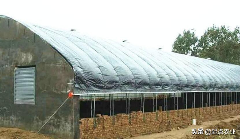 装修吊顶用什么材料最便宜-农村瓦房吊顶装修用什么材料比较好？